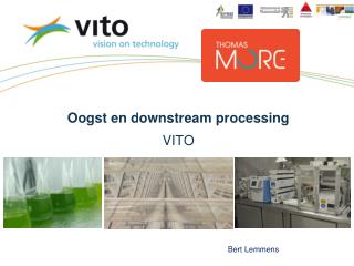 Oogst en downstream processing VITO