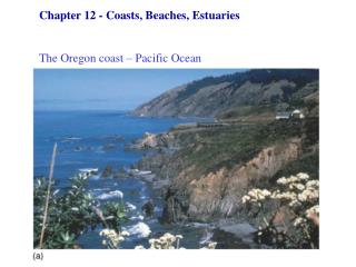 Chapter 12 - Coasts, Beaches, Estuaries The Oregon coast – Pacific Ocean