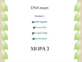 DNA team