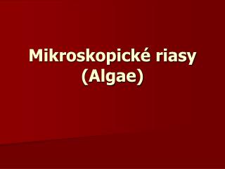 Mikroskopické riasy (Algae)