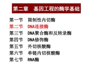 第二章 基因工程的酶学基础
