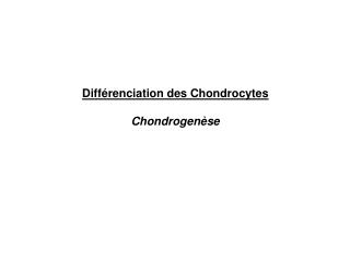 Différenciation des Chondrocytes Chondrogenèse