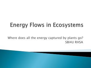 Energy Flows in Ecosystems