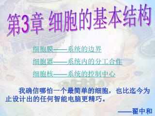第 3 章 细胞的基本结构