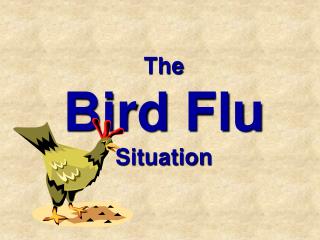 The Bird Flu Situation