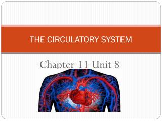 THE CIRCULATORY SYSTEM