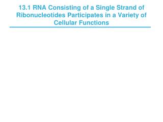 Primary structure Secondary structure