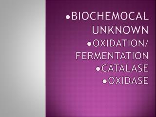 ● BIOCHEMOCAL UNKNOWN ● OXIDATION/ FERMENTATION ●CATALASE ●oXIDASE