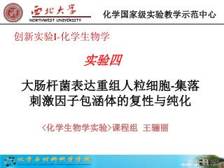 大肠杆菌表达重组人粒细胞 - 集落刺激因子包涵体的复性与纯化