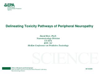 Delineating Toxicity Pathways of Peripheral Neuropathy