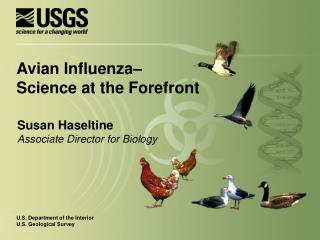 Susan Haseltine Associate Director for Biology