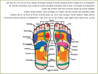 רפלקסולוגיה היא הפעלת הלחץ המתאים לאיזורים ונקודות ספציפיות בכפות הרגליים והידיים ( או אוזניים).