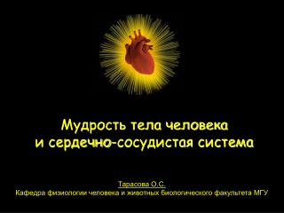 Тарасова О.С. Кафедра физиологии человека и животных биологического факультета МГУ