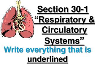 Section 30-1 “Respiratory &amp; Circulatory Systems ”