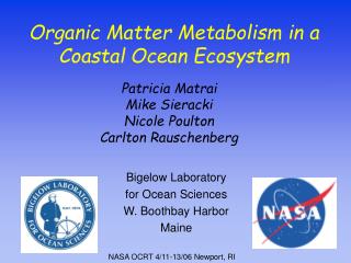 Organic Matter Metabolism in a Coastal Ocean Ecosystem