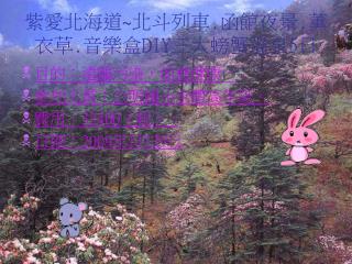 紫愛北海道 ~ 北斗列車 . 函館夜景 . 薰衣草 . 音樂盒 DIY 三大螃蟹溫泉 5 日