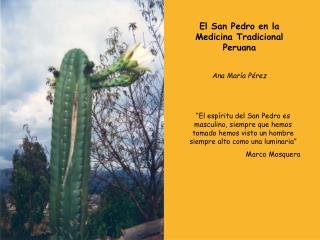 El San Pedro en la Medicina Tradicional Peruana