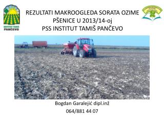REZULTATI MAKROOGLEDA SORATA OZIME PŠENICE U 2013/14-oj PSS INSTITUT TAMIŠ PANČEVO