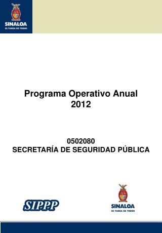 Programa Operativo Anual 2012