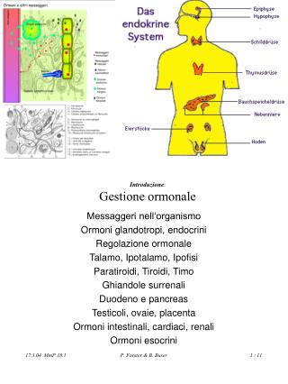Introduzione : Gestione ormonale