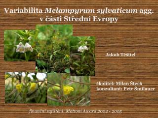 Variabilita Melampyrum sylvaticum agg. v části Střední Evropy