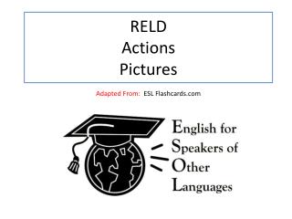 RELD Actions Pictures