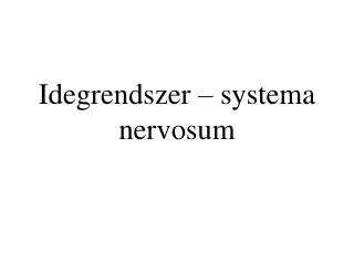 Idegrendszer – systema nervosum