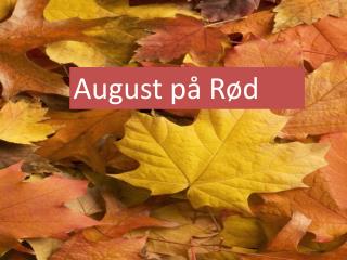 August på Rød