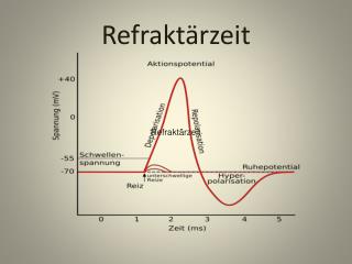 Refraktärzeit