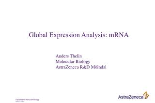 Global Expression Analysis: mRNA