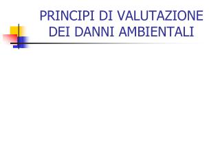 PRINCIPI DI VALUTAZIONE DEI DANNI AMBIENTALI