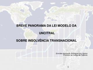 BREVE PANORAMA DA LEI MODELO DA UNCITRAL SOBRE INSOLVÊNCIA TRANSNACIONAL