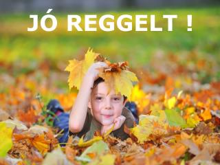 JÓ REGGELT !