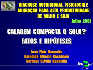 CALAGEM COMPACTA O SOLO ? FATOS E HIPÓTESES