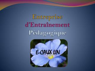 Entreprise d’Entraînement Pédagogique