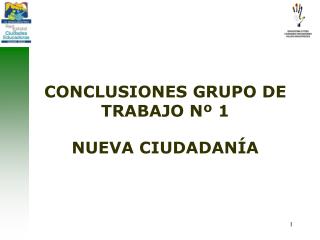 CONCLUSIONES GRUPO DE TRABAJO Nº 1 NUEVA CIUDADANÍA