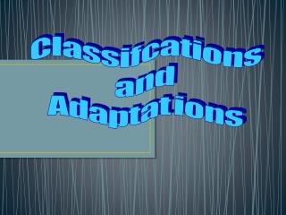 C l a s s i f c a t i o n s a n d A d a p t a t i o n s