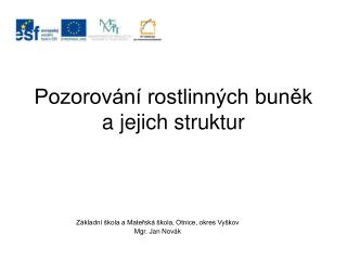 Pozorování rostlinných buněk a jejich struktur