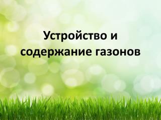 Устройство и содержание газонов