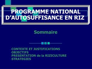 Sommaire CONTEXTE ET JUSTIFICATIONS OBJECTIFS PRESENTATION de la RIZICULTURE STRATEGIES