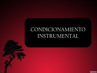 CONDICIONAMIENTO INSTRUMENTAL