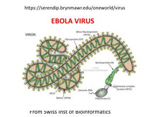 From Swiss Inst of Bioinformatics