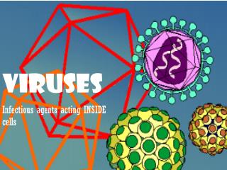 Viruses