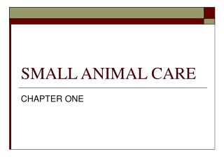 SMALL ANIMAL CARE