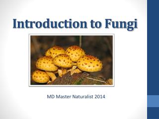 Introduction to Fungi