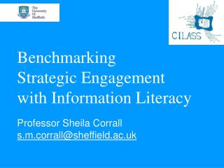 Benchmarking Strategic Engagement with Information Literacy