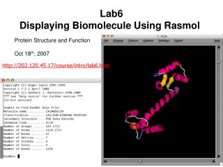 Lab6 Displaying Biomolecule Using Rasmol