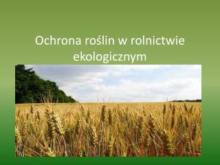 Ochrona roślin w rolnictwie ekologicznym