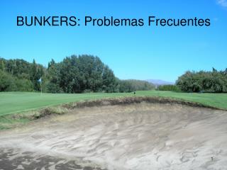 BUNKERS: Problemas Frecuentes