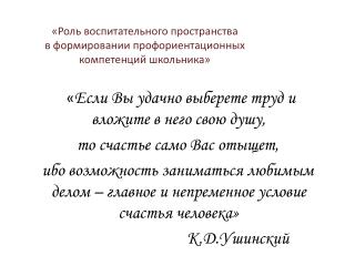 «Роль воспитательного пространства в формировании профориентационных компетенций школьника»